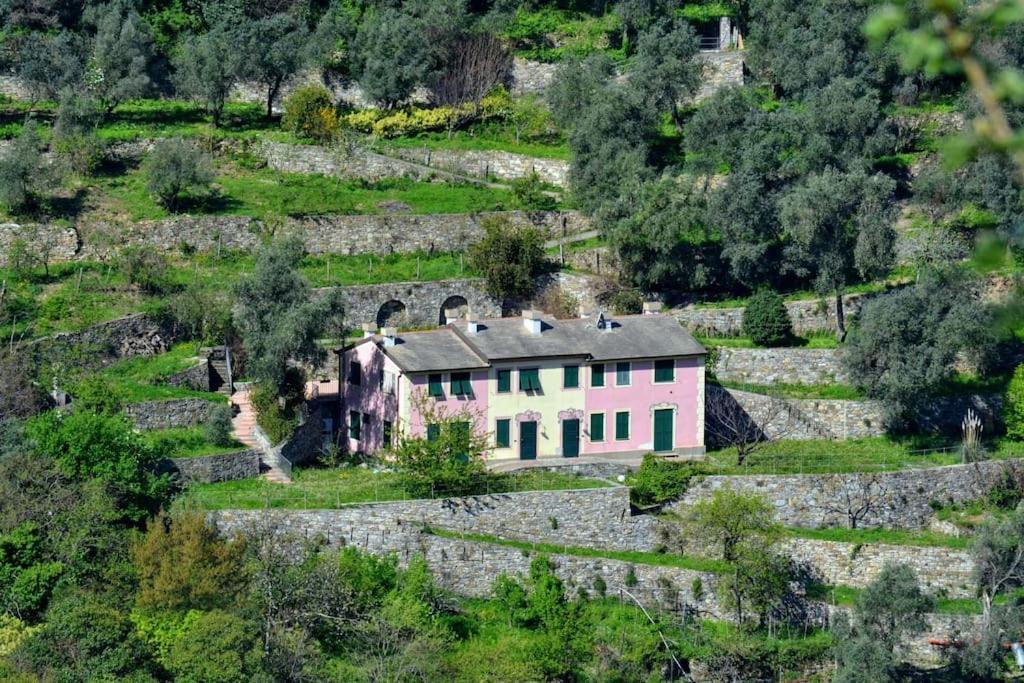 Villa Olivari - Apt Il Melograno カモーリ エクステリア 写真