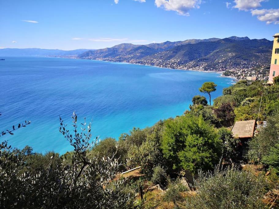 Villa Olivari - Apt Il Melograno カモーリ エクステリア 写真