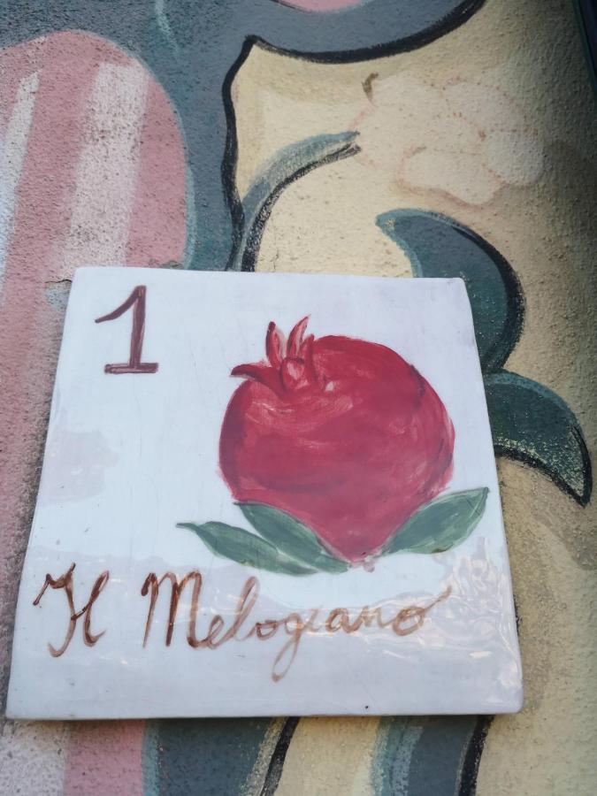 Villa Olivari - Apt Il Melograno カモーリ エクステリア 写真