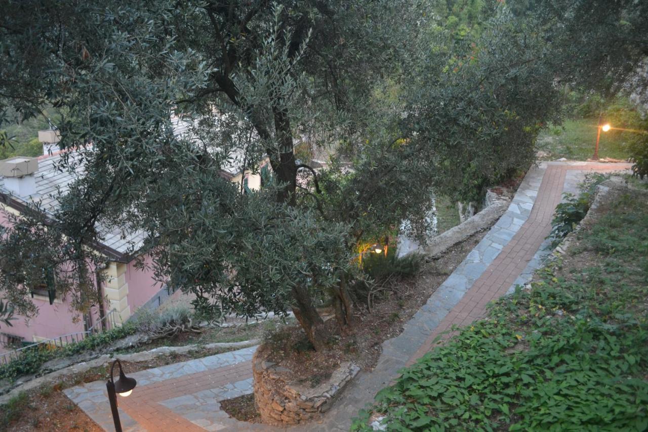 Villa Olivari - Apt Il Melograno カモーリ エクステリア 写真
