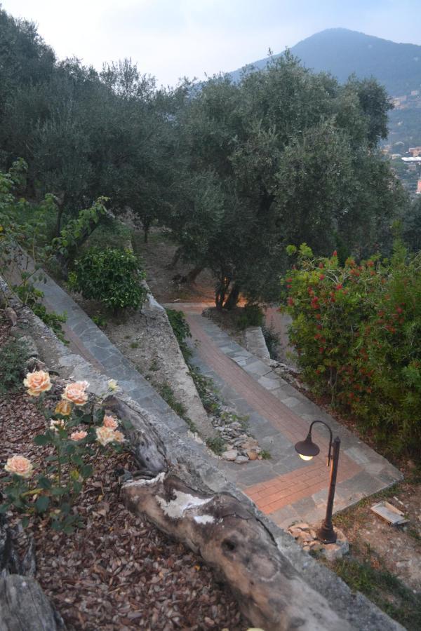 Villa Olivari - Apt Il Melograno カモーリ エクステリア 写真